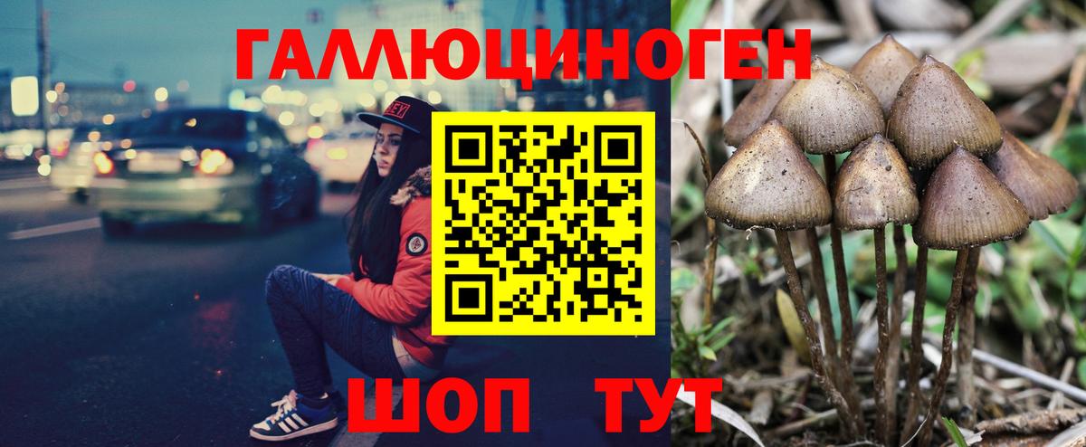 Донской  Галлюциногенные грибы Magic Shrooms  Вход с VPN 